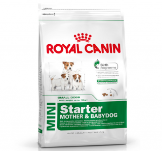 Royal Canin Mini Starter Mother&Babydog 3 kg Köpek Maması kullananlar yorumlar